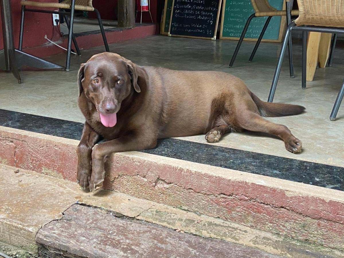 A Mi Manera Pousada , Cerveja Propria E Bistro ! Brumadinho Eksteriør bilde